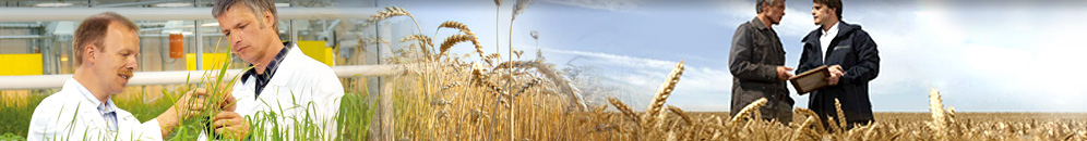 Home - Bayer Crop Science Belgie